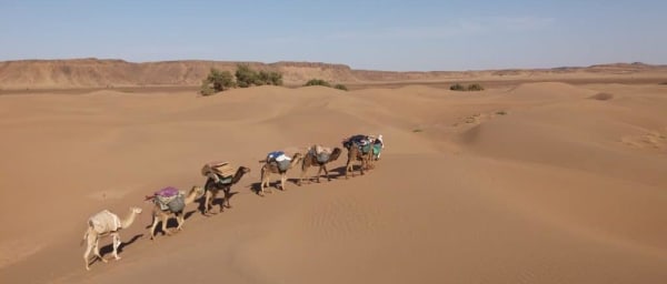 8 jours de trek dans la vallée du Drâa avec nuits en bivouac