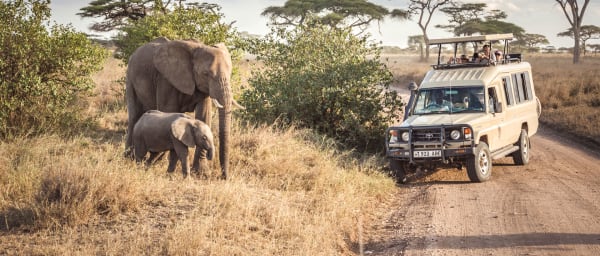 5-Day Tanzania Big 5 Safari with Serengeti and Ngorongoro Crater