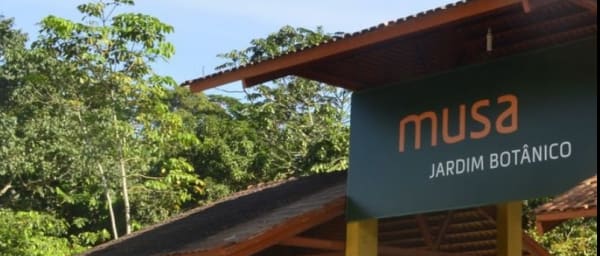 Tour Privativo de 3 Horas ao MUSA em Manaus com torre de 42 metros