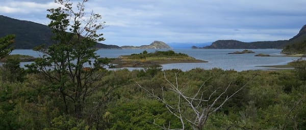 5-Hour Tierra del Fuego National Park Tour with Lapataia Bay