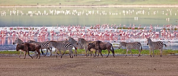 3-Day Tarangire, Lake Manyara and Ngorongoro Big Five Safari