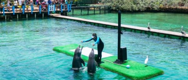 8-Hour Rosario Islands and Playa Blanca Tour with Aquarium Visit