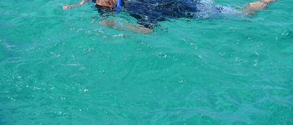 8-Hour Tiran Island Snorkelling Cruise from Sharm El-Sheikh