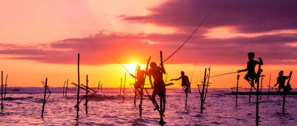 14-Day Sri Lanka Photography Tour with Safaris and Scenic Train Ride