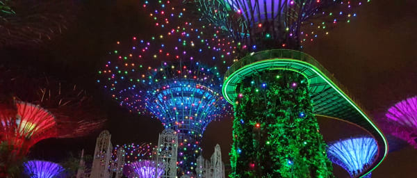3-Hour Singapore Marina Bay Tour with Tea and Garden Rhapsody
