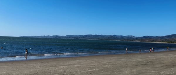 10-Hour Punta Leona Beach and Wildlife Tour from San José