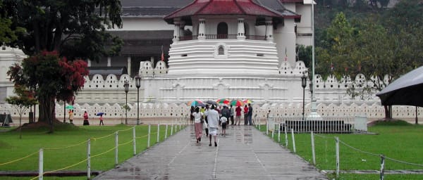 14-Day Sri Lanka Historical Tour with Wildlife and Coastal Highlights