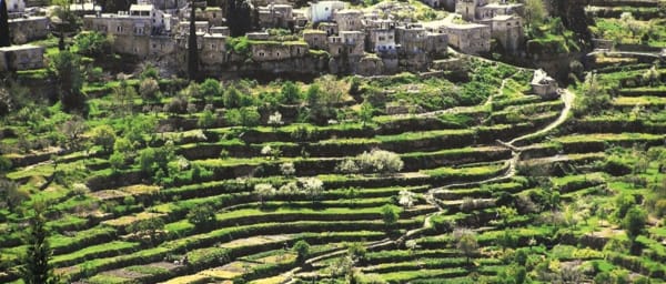 Full-Day Bethlehem and Battir Heritage Tour with Nativity Church
