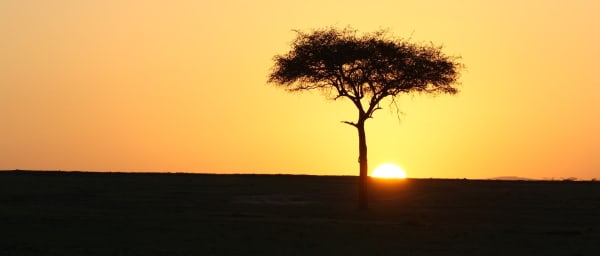 3-Day Masai Mara Safari from Nairobi with Big 5 Game Drives