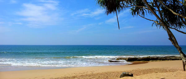 Full-Day Galle and Bentota Tour from Colombo with Turtle Hatchery