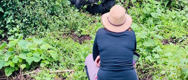 7-Day Gorilla and Chimpanzee Trekking Tour in Rwanda via Nyungwe