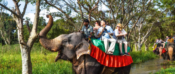 10-Day Sri Lanka Heritage and Wildlife Tour from Negombo