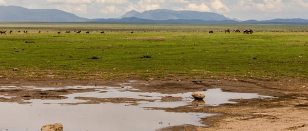 7-Day Tanzania Safari through Serengeti, Ngorongoro and Tarangire