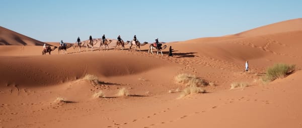 8-Hour Pyramids Tour of Giza, Saqqara, Dahshur and Memphis