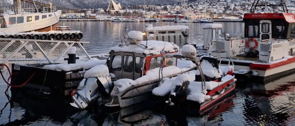 3-Hour Tromsø Walking Tour with Arctic History and Polar Museum