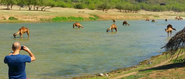 4-Hour East Salalah Tour with Taqah Castle and Wadi Derbat