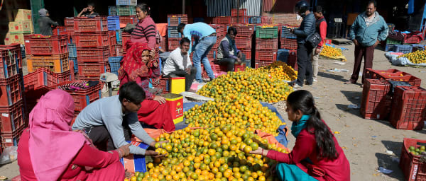 2-Hour Kathmandu Market Walk with Local Market Insights