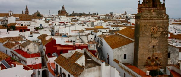 8-Hour Carmona Olive Oil Tasting Tour with Tapas and Necropolis