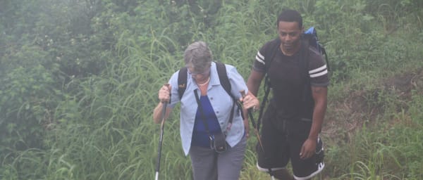 1-Day Hiking Tour in São Jorge dos Órgãos with Botanical Garden