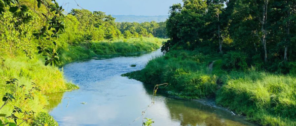 3-Day Chitwan National Park Jungle Safari with Tharu Culture