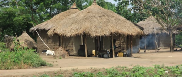 Full-Day Lomé City Tour with Fetish Market and Grand Marché