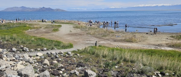 4-Hour Salt Lake City Tour with Great Salt Lake State Park