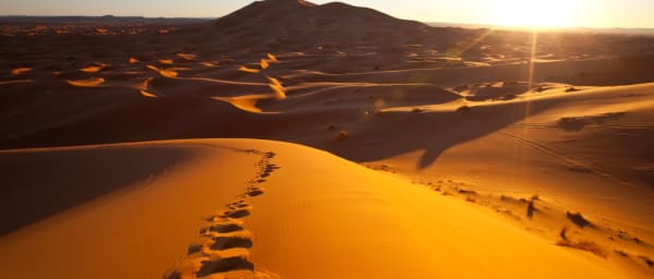 8-Hour Desert Adventure from Muscat with Wahiba Sands and Wadi Bani Khalid