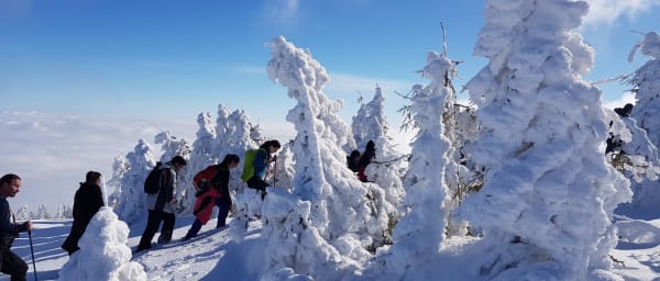 1-Day Vlădeasa Peak Hiking Tour from Cluj-Napoca with Mountain Views
