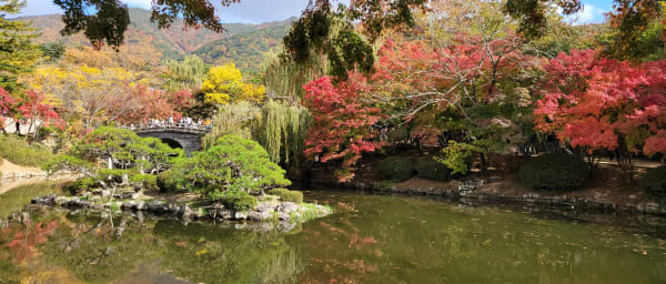 1-Day Gyeongju Heritage Tour from Busan with Silla UNESCO Sites
