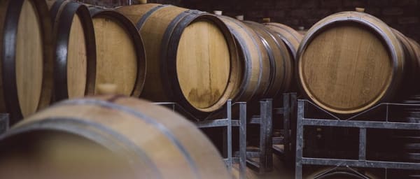 9-Hour Cape Winelands Wine Tour with Stellenbosch and Franschhoek