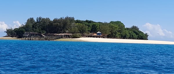 5-Hour Stone Town and Prison Island Tour with Giant Tortoises