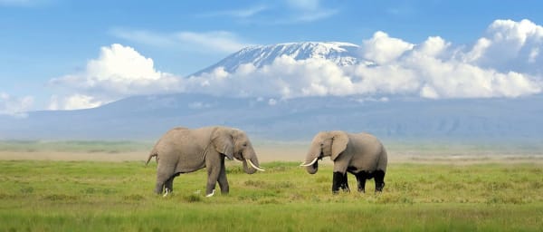 5-Day Amboseli and Masai Mara Safari with Hell's Gate and Naivasha