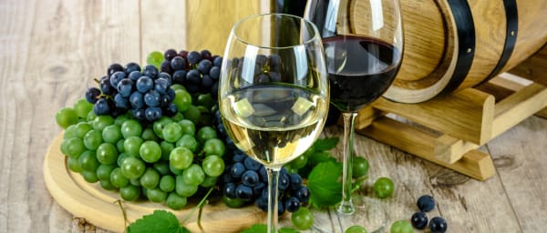 8-Hour Wine Estate Tour in Cape Town with Kirstenbosch and Stellenbosch