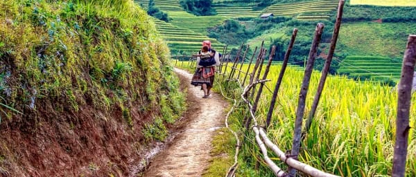 2-Day Trek from Bắc Hà to Lung Phình with Phù Lá Homestay
