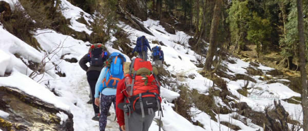 6-Day Kedarkantha Peak Trek from Dehradun with Summit Temple Visit