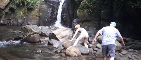 5-Hour Tropical Forest and Saint Pierre Tour with Rum Tasting