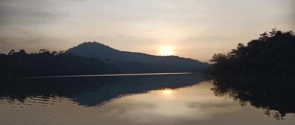 8-Hour Trivandrum Wildlife Tour with Kottoor Elephants and Neyyar