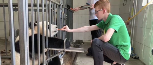 Expérience d'une journée avec les pandas à Chengdu à Dujiangyan