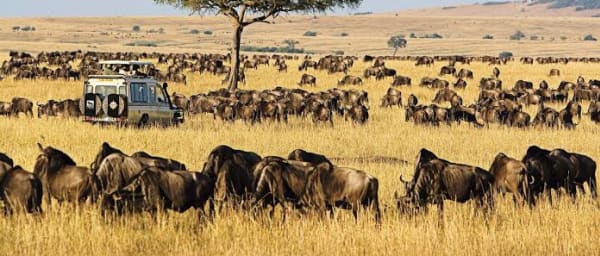 3-Day Masai Mara Wildlife Tour with Rift Valley Views