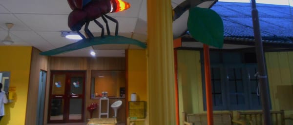 12-Hour Kuala Selangor Nature Tour with Fireflies and Food Tasting