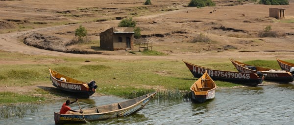 5-Day Uganda Chimpanzee and Gorilla Trekking Tour with Lake Bunyonyi