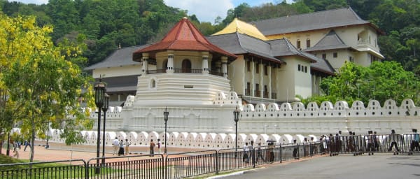 1-Day Kandy Tour with Tea Plantation and Pinnawala Elephant Orphanage