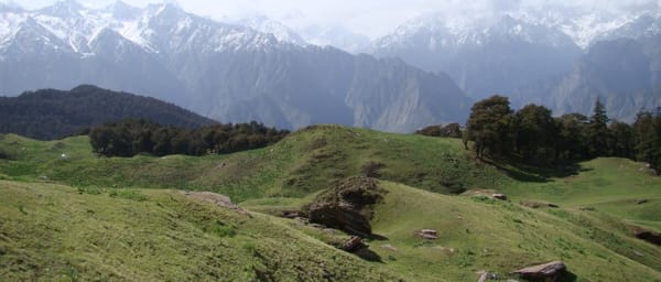6-Day Kuari Pass Trek from Haridwar/Rishikesh via Garson Bugyal