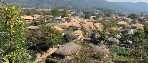 12-Hour Suncheon Highlights Tour from Busan with Sunset Wetlands