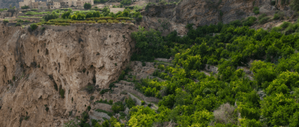 12-Hour Al Jabal Al Akhdar Tour with Birkat Al Mouz and Suwgrah