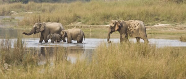 3-Day Bardia National Park Safari with Karnali River from Kathmandu