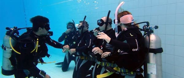 4-Day PADI Open Water Diver Course in Hurghada with certification prep