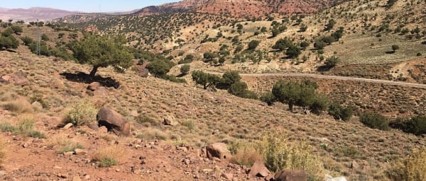 1-Day Horseback Riding Tour in Asni Valley near the Atlas Mountains