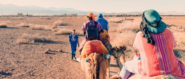 1-Day Draa Valley Tour from Tamnougalt with Tinfo and Tamegroute