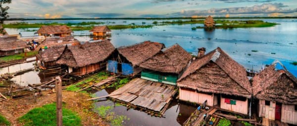 4-Day Amazon Jungle Expedition from Iquitos with Pink Dolphins